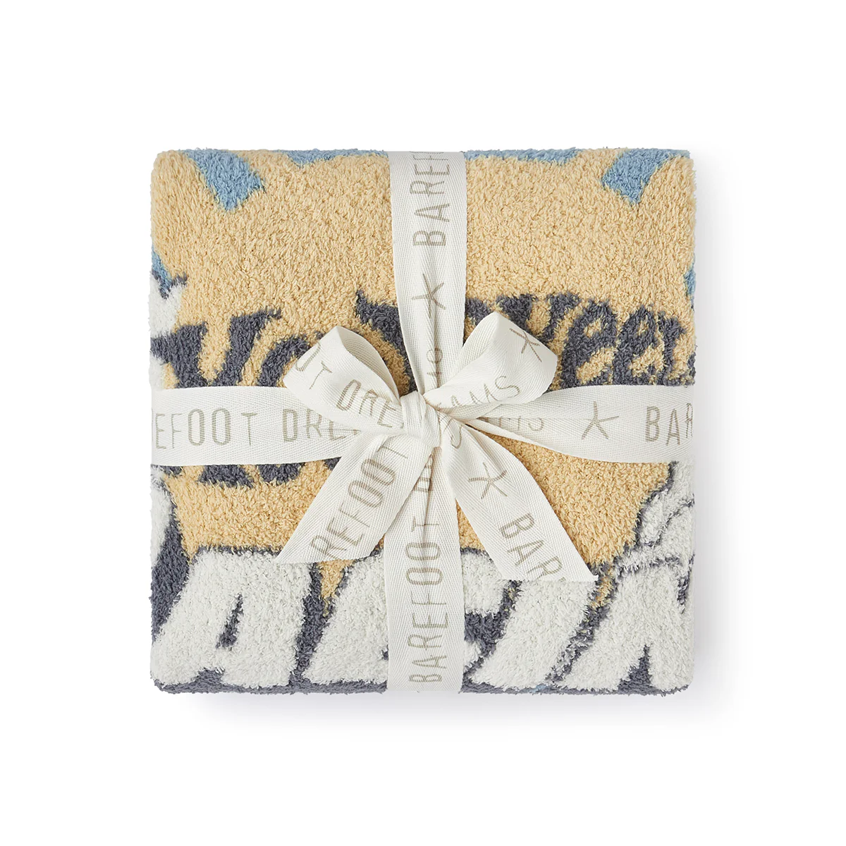 CozyChic Hot Wheels Stroller Blanket - Image 4