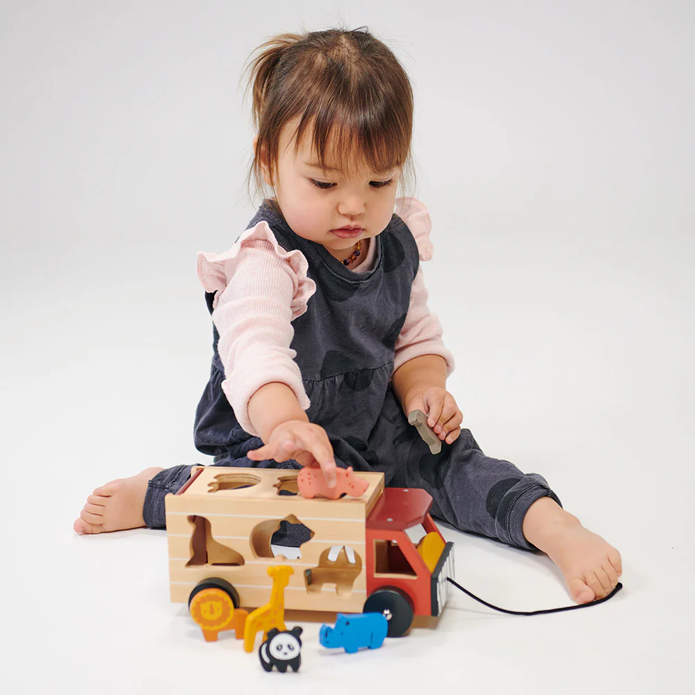 Explorer's Sorting and Stacking Bundle - Image 2