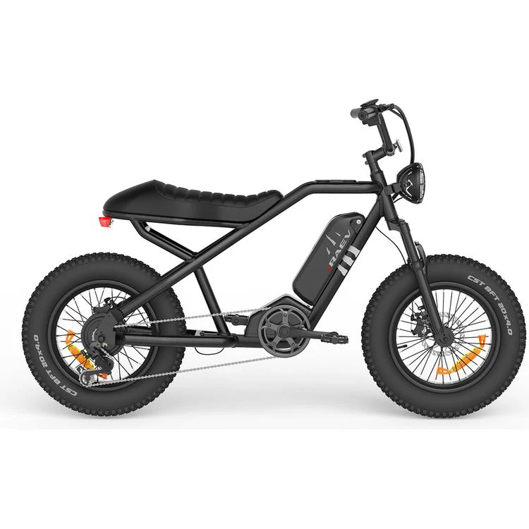 Raev Bullet SE Electric Bike - Black - Image 2