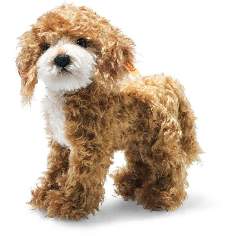 Ricky Cockapoo