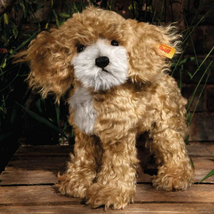 Ricky Cockapoo - Image 2